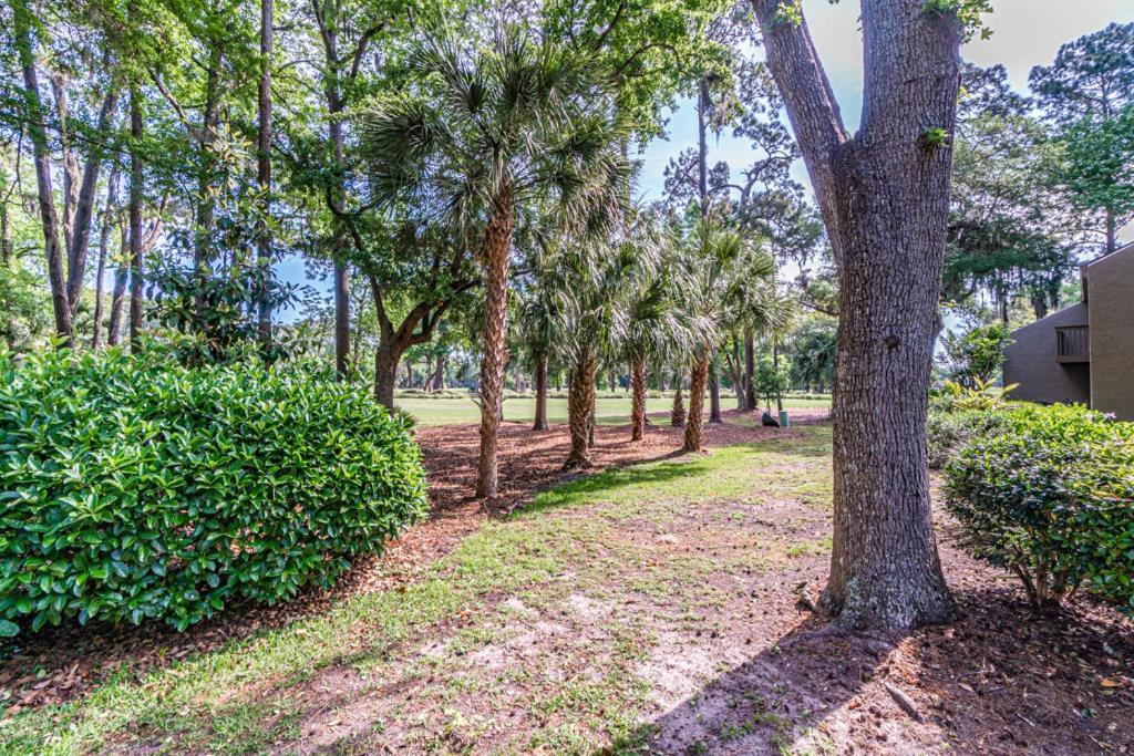 Pet Friendly! 503 Plantation Club Walk To Pool Sleeps 6 Sea Pines Villa Hilton Head Island Ngoại thất bức ảnh