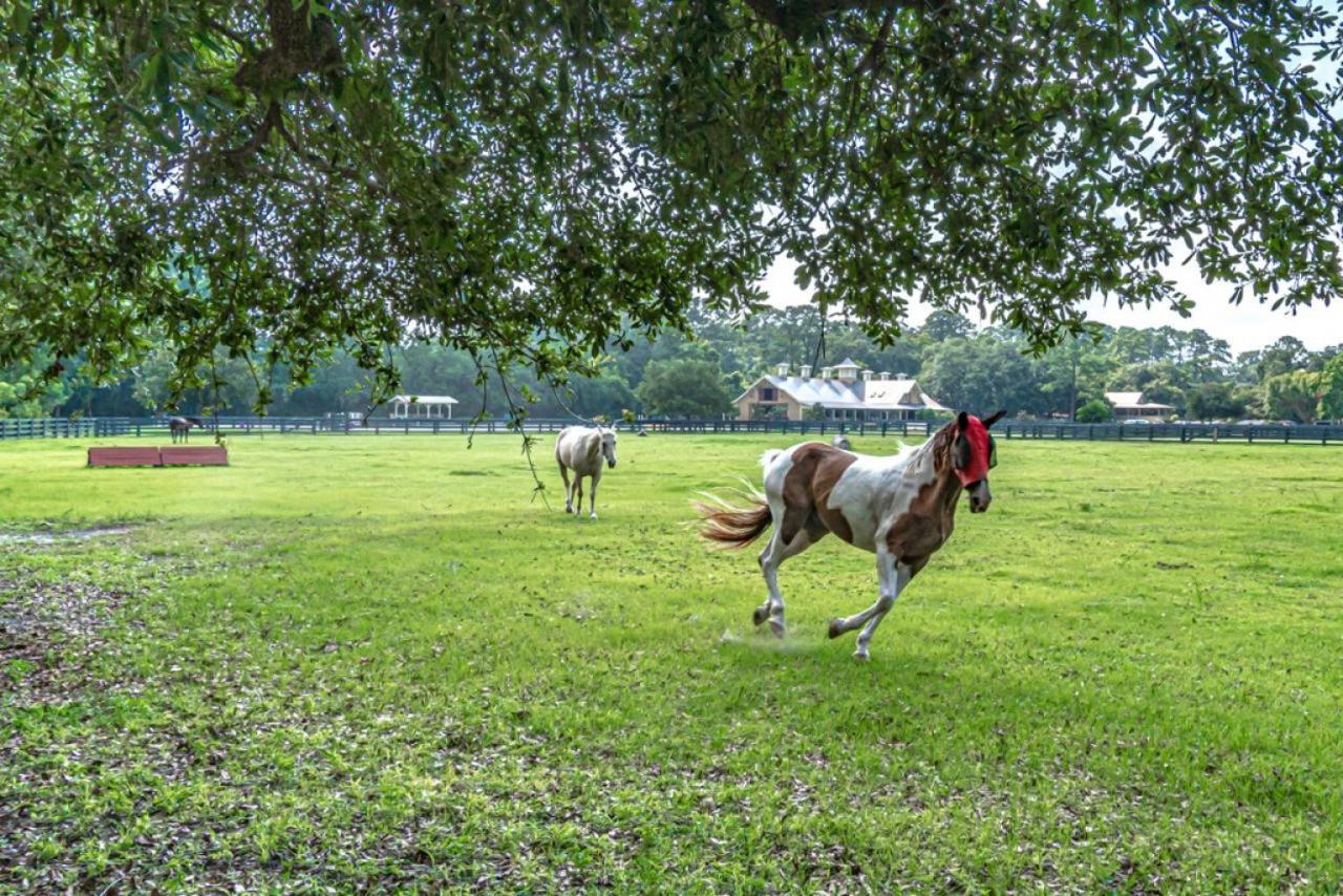 Pet Friendly! 503 Plantation Club Walk To Pool Sleeps 6 Sea Pines Villa Hilton Head Island Ngoại thất bức ảnh